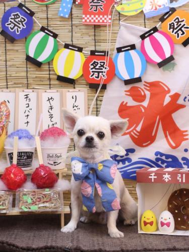 20240719ぽんちくん